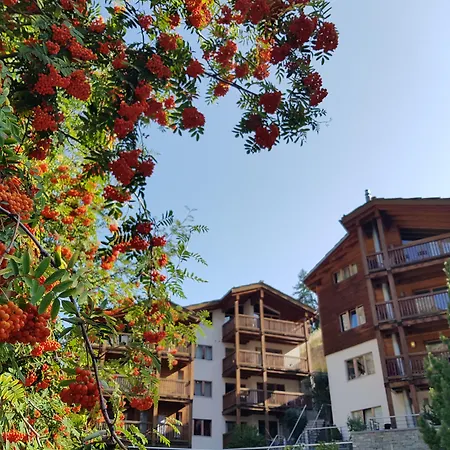 Ari Zermatt